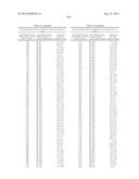 METHODS AND COMPOSITIONS FOR THE SPECIFIC INHIBITION OF BETA-CATENIN BY     DOUBLE-STRANDED RNA diagram and image