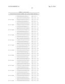 METHODS AND COMPOSITIONS FOR THE SPECIFIC INHIBITION OF BETA-CATENIN BY     DOUBLE-STRANDED RNA diagram and image