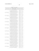 METHODS AND COMPOSITIONS FOR THE SPECIFIC INHIBITION OF BETA-CATENIN BY     DOUBLE-STRANDED RNA diagram and image