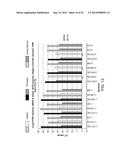 COMPOSITIONS AND METHODS FOR NUCLEIC ACID EXTRACTION diagram and image