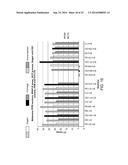 COMPOSITIONS AND METHODS FOR NUCLEIC ACID EXTRACTION diagram and image