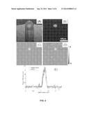 METHOD AND APPARATUS FOR QUANTITATIVE IMAGING OF BLOOD PERFUSION IN LIVING     TISSUE diagram and image