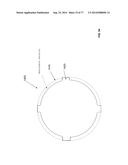 Rotate-to-Advance Catheterization System diagram and image