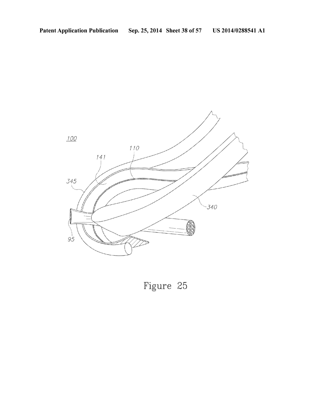 LESION TREATMENT DEVICE AND METHODS FOR TREATING LESIONS - diagram, schematic, and image 39