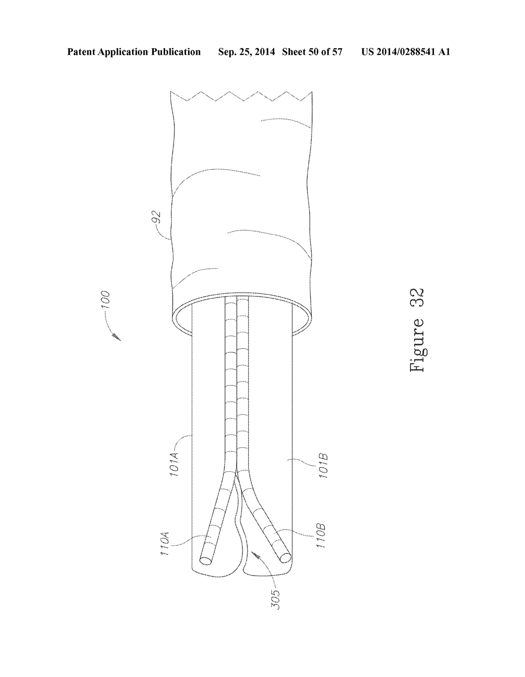 LESION TREATMENT DEVICE AND METHODS FOR TREATING LESIONS - diagram, schematic, and image 51