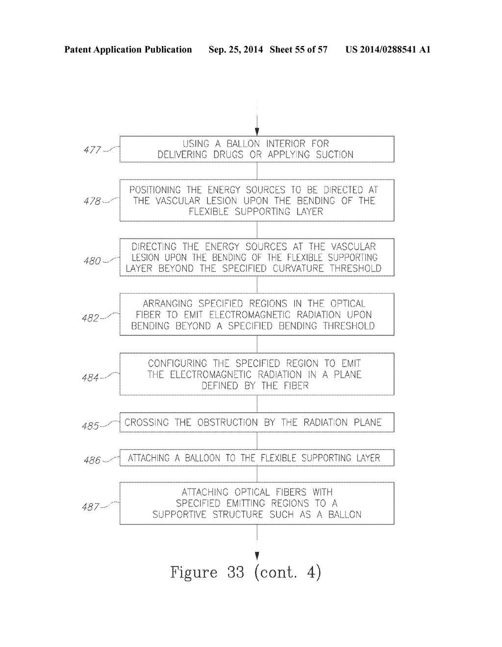 LESION TREATMENT DEVICE AND METHODS FOR TREATING LESIONS - diagram, schematic, and image 56