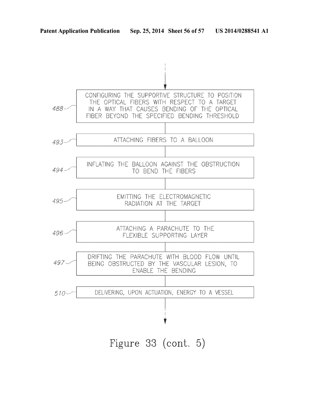 LESION TREATMENT DEVICE AND METHODS FOR TREATING LESIONS - diagram, schematic, and image 57