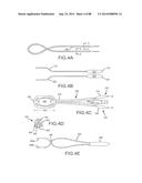 CARDIAC ABLATION SYSTEMS AND METHODS diagram and image