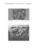 CONTINUOUS PHASE COMPOSITE FOR MUSCULOSKELETAL REPAIR diagram and image