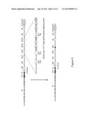 MICE THAT MAKE HEAVY CHAIN ANTIBODIES diagram and image