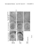 METHOD FOR PRODUCING TISSUE AND ORGAN diagram and image