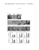 METHOD FOR PRODUCING TISSUE AND ORGAN diagram and image