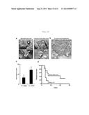 METHOD FOR PRODUCING TISSUE AND ORGAN diagram and image