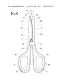 SCISSORS diagram and image