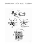 Controllable Normal Force Mechanism with Minimum Energy Consumption diagram and image