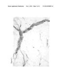 CURABLE COMPOSITIONS CONTAINING ISOCYANATE FUNCTIONAL COMPONENTS HAVING     IMPROVED DURABILITY diagram and image