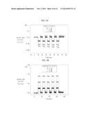 STRAIN SENSING DEVICE USING REDUCED GRAPHENE OXIDE AND METHOD OF     MANUFACTURING THE SAME diagram and image