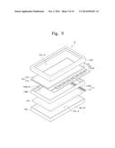 DISPLAY DEVICE diagram and image