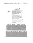 SPECULAR FILTER (SF) AND DIP ORIENTED PARTIAL IMAGING (DOPI) SEISMIC     MIGRATION diagram and image