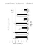 COMPOSITIONS AND METHODS FOR TREATMENT OF PROTEINOPATHIES diagram and image