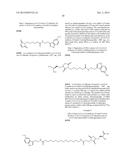 COMPOSITIONS AND METHODS FOR TREATMENT OF PROTEINOPATHIES diagram and image