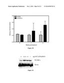 COMPOSITIONS AND METHODS FOR DIAGNOSING AND MONITORING OVARIAN CANCER     PROGRESSION AND TREATMENT diagram and image