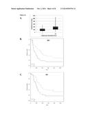 USE OF TUMOR FAS EXPRESSION TO DETERMINE RESPONSE TO ANTI-CANCER THERAPY diagram and image