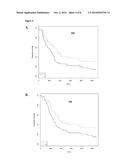 USE OF TUMOR FAS EXPRESSION TO DETERMINE RESPONSE TO ANTI-CANCER THERAPY diagram and image