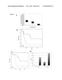 USE OF TUMOR FAS EXPRESSION TO DETERMINE RESPONSE TO ANTI-CANCER THERAPY diagram and image