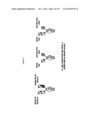 TARGETING REGULATORY T CELLS WITH HETERODIMERIC PROTEINS diagram and image