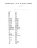 TARGETING REGULATORY T CELLS WITH HETERODIMERIC PROTEINS diagram and image