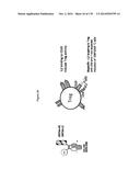 TARGETING REGULATORY T CELLS WITH HETERODIMERIC PROTEINS diagram and image