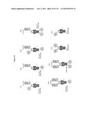 TARGETING REGULATORY T CELLS WITH HETERODIMERIC PROTEINS diagram and image