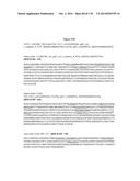 TARGETING REGULATORY T CELLS WITH HETERODIMERIC PROTEINS diagram and image