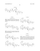 PEPTIDOMIMETIC PROTEASE INHIBITORS diagram and image