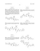 PEPTIDOMIMETIC PROTEASE INHIBITORS diagram and image