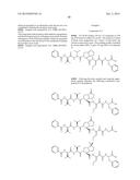 PEPTIDOMIMETIC PROTEASE INHIBITORS diagram and image