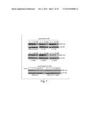 TREATING CANCER WITH HSP90 INHIBITORY COMPOUNDS diagram and image