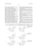 TREATING CANCER WITH HSP90 INHIBITORY COMPOUNDS diagram and image