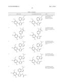 TREATING CANCER WITH HSP90 INHIBITORY COMPOUNDS diagram and image