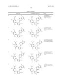 TREATING CANCER WITH HSP90 INHIBITORY COMPOUNDS diagram and image
