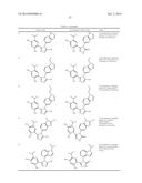 TREATING CANCER WITH HSP90 INHIBITORY COMPOUNDS diagram and image