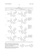 TREATING CANCER WITH HSP90 INHIBITORY COMPOUNDS diagram and image