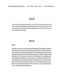 POLYPEPTIDES COMPRISING Fc FRAGMENTS OF IMMUNOGLOBULIN G (IgG) AND METHODS     OF USING THE SAME diagram and image