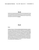 POLYPEPTIDES COMPRISING Fc FRAGMENTS OF IMMUNOGLOBULIN G (IgG) AND METHODS     OF USING THE SAME diagram and image