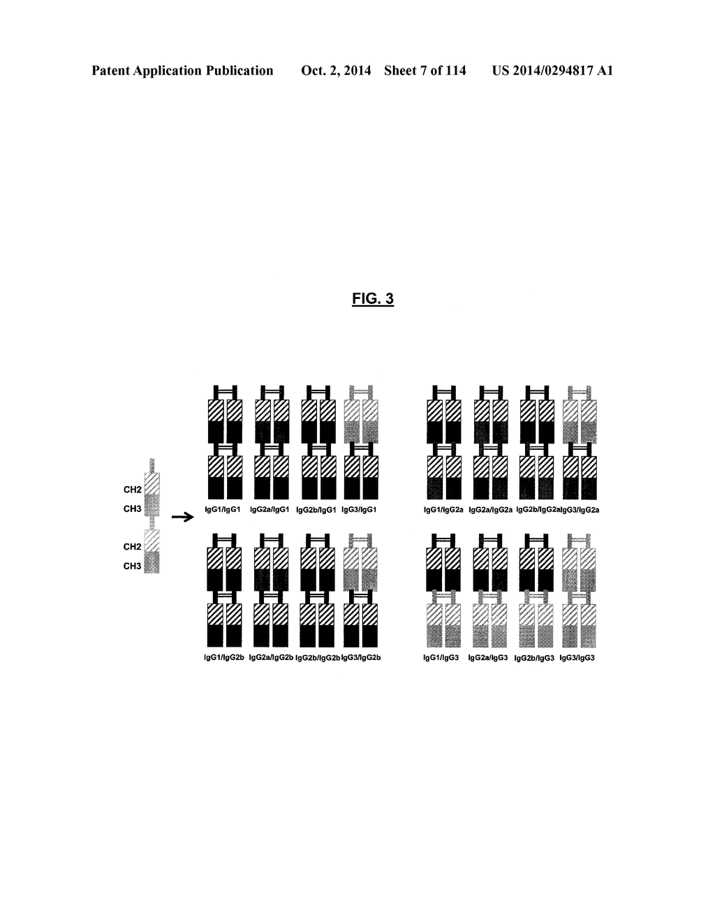POLYPEPTIDES COMPRISING Fc FRAGMENTS OF IMMUNOGLOBULIN G (IgG) AND METHODS     OF USING THE SAME - diagram, schematic, and image 08