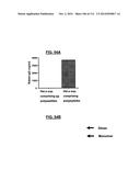 POLYPEPTIDES COMPRISING Fc FRAGMENTS OF IMMUNOGLOBULIN G (IgG) AND METHODS     OF USING THE SAME diagram and image