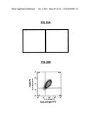 POLYPEPTIDES COMPRISING Fc FRAGMENTS OF IMMUNOGLOBULIN G (IgG) AND METHODS     OF USING THE SAME diagram and image