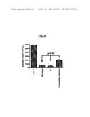 POLYPEPTIDES COMPRISING Fc FRAGMENTS OF IMMUNOGLOBULIN G (IgG) AND METHODS     OF USING THE SAME diagram and image