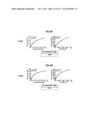 POLYPEPTIDES COMPRISING Fc FRAGMENTS OF IMMUNOGLOBULIN G (IgG) AND METHODS     OF USING THE SAME diagram and image